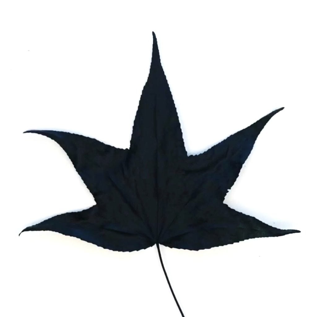 Black painted leaf