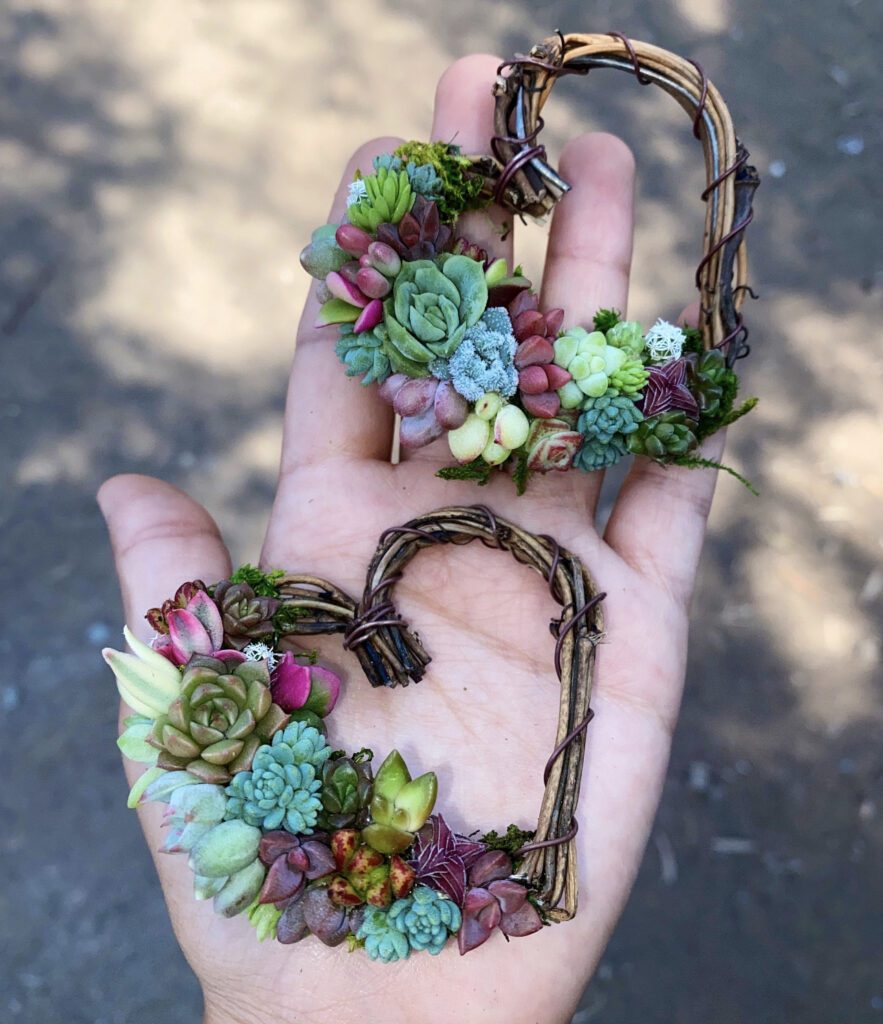 Mini heart succulent wreaths