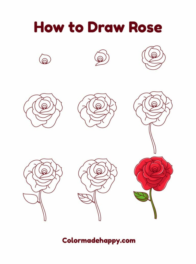 Step-by-step how to draw a rose