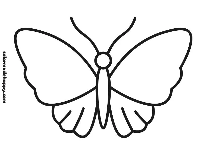 Butterfly Outline png images | PNGWing