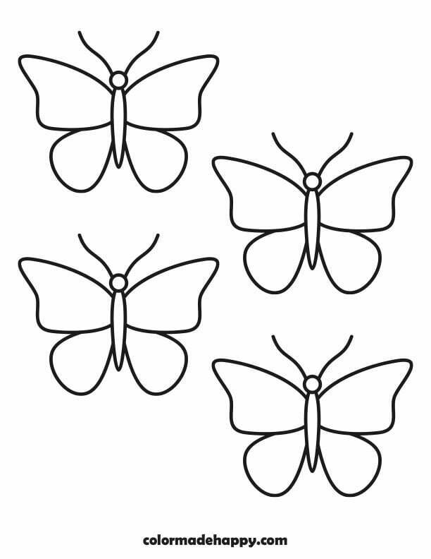 Beautiful Butterfly Outline