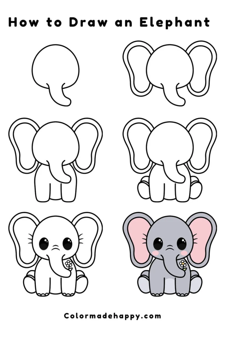 How to Draw an Elephant – Easy Step by Step Instructions