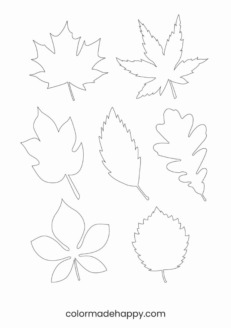 Free Printable Leaf Template Free Printable Leaf Template